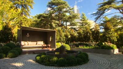 Award-Winning Magnolia Teddy Bear's